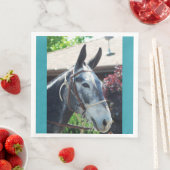 Bisschop Mule Days Parade van 2018 Servet (Insitu)