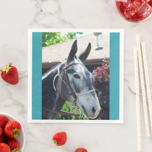 Bisschop Mule Days Parade van 2018 Servet (Insitu)