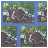 Bisschop Mule Days Parade van 2018 Stof (Close Up)