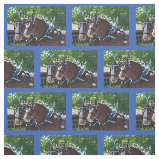 Bisschop Mule Days Parade van 2018 Stof (Swatch)