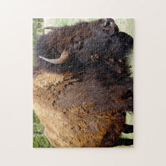 Bisson Montana. Legpuzzel (Verticaal)