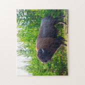 Bisson Montana. Legpuzzel (Verticaal)