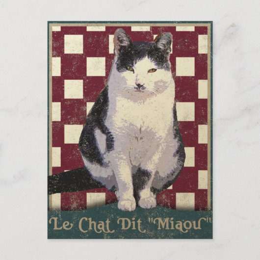 bistro Cat Briefkaart (Voorkant)