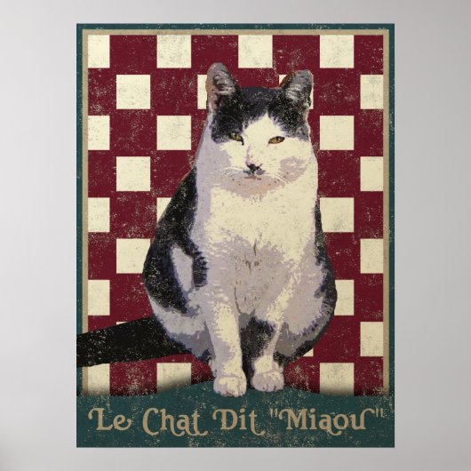  bistro Cat Poster (Voorkant)