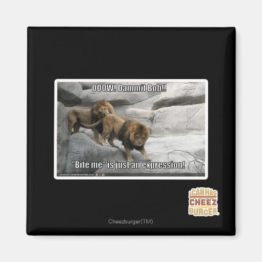 Bite, ik ben gewoon een uitdrukking. magneet (Voorkant)