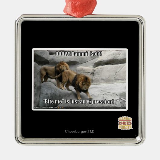 Bite, ik ben gewoon een uitdrukking. metalen ornament (Voorkant)