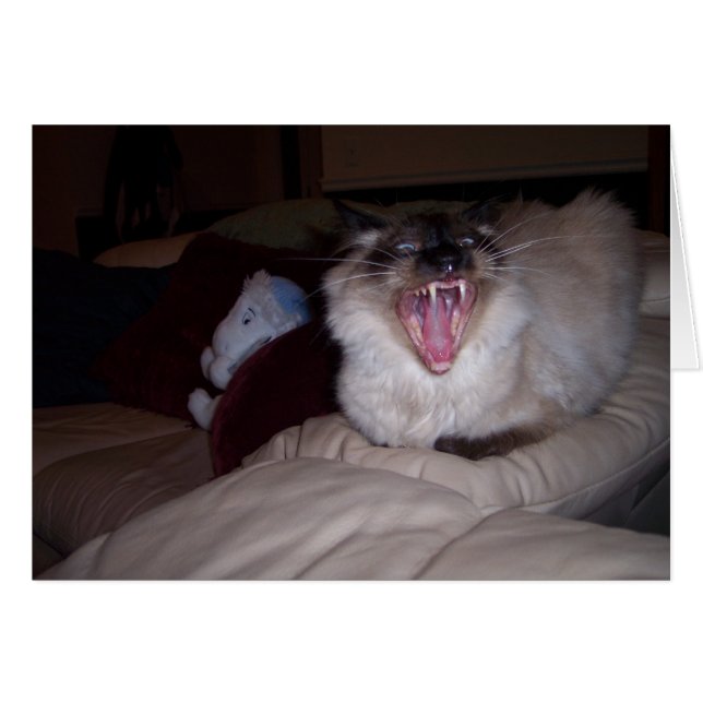 Bite me! (Voorkant Horizontaal)