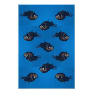 Bite me perfect poster