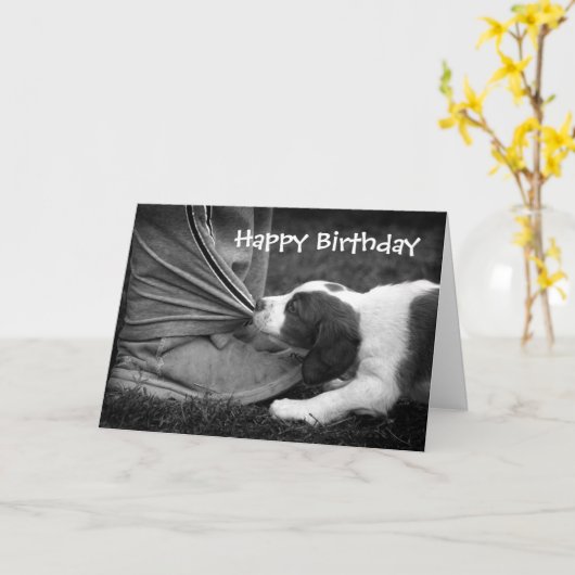 Biter van de enkel kaart (Gele Bloem)