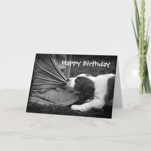 Biter van de enkel kaart (Voorkant)