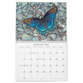 Bits van Beauty Calendar Kalender (Feb 2027)