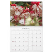 Bits van Beauty Calendar Kalender (Mar 2027)