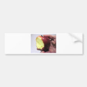 Bitten Red Apple Bumpersticker (Voorkant)