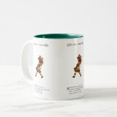 Bitter-Sweet Tweekleurige Koffiemok (Voorkant links)