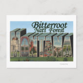 Bitterroot Nat'l Forest, Montana Briefkaart (Voorkant)