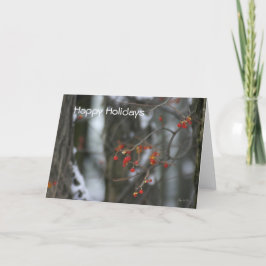 Bittersweet Winter Holiday Kaart