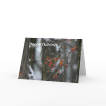 Bittersweet Winter Holiday Kaart