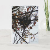 Bitterzoet Nest Kaart (Voorkant)