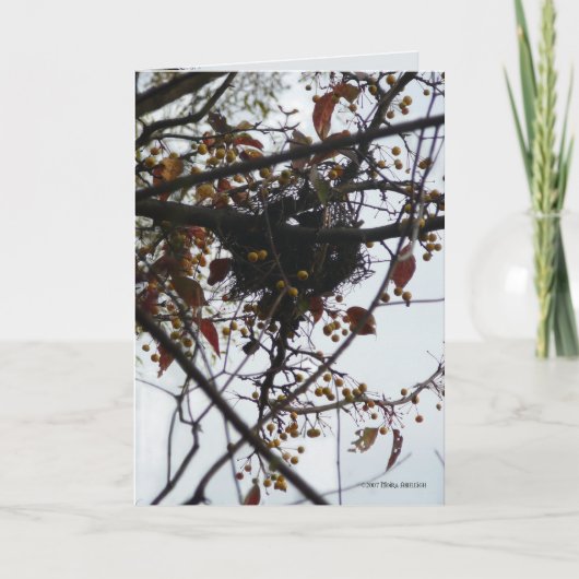 Bitterzoet Nest Kaart (Voorkant)