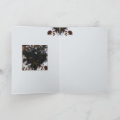 Bitterzoet Nest Kaart (Binnen)