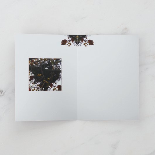 Bitterzoet Nest Kaart (Binnen)