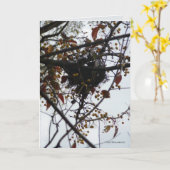 Bitterzoet Nest Kaart (Gele Bloem)