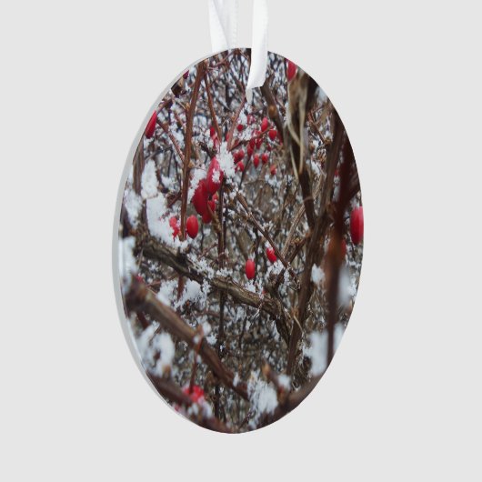 Bitterzoete Berries Ornament (voorkant)