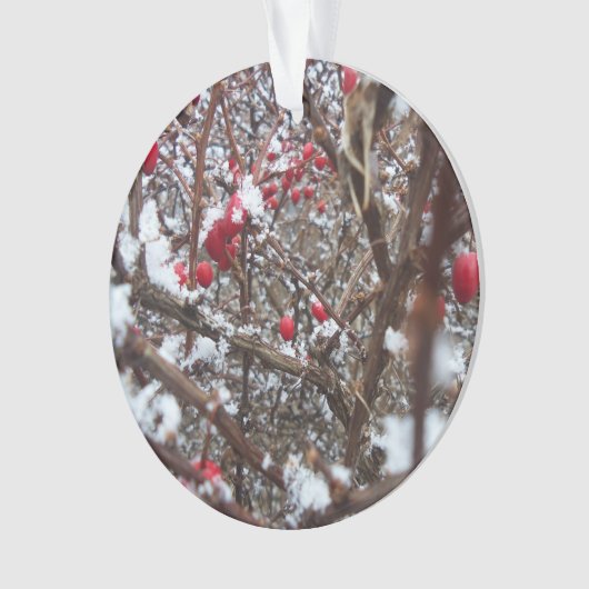 Bitterzoete Berries Ornament (voorkant)