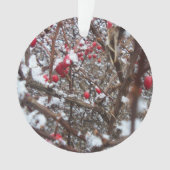 Bitterzoete Berries Ornament (voorkant)