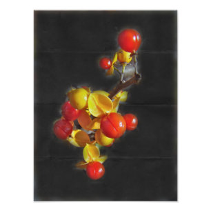 Bitterzoete bessen - Autumn Beauty Foto Afdruk