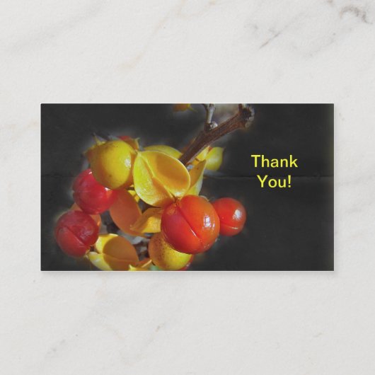 Bitterzoete bessen - Autumn Beauty Visitekaartje (Achterkant)