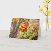 Bitterzoete bessen kaart (Gele Bloem)