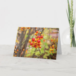 Bitterzoete bessen kaart