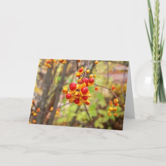 Bitterzoete bessen kaart (Voorkant)