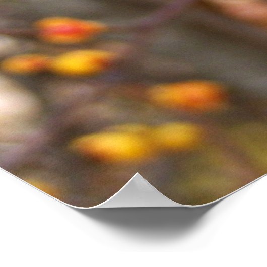 Bitterzoete bessen poster (Hoek)