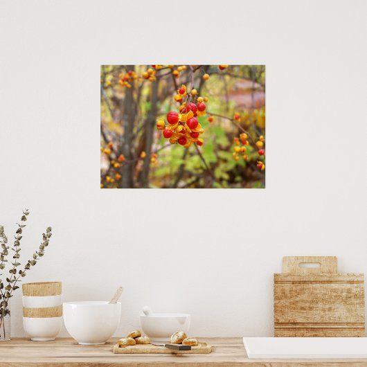 Bitterzoete bessen poster (Keuken)