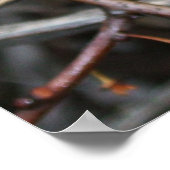 Bitterzoete bessen poster (Hoek)