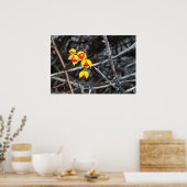 Bitterzoete bessen poster (Keuken)