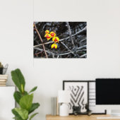 Bitterzoete bessen poster (Thuiskantoor)