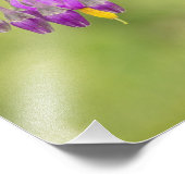 Bitterzoete Nightshade Wildflower Afdrukken Foto Afdruk (Hoek)