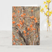 bitterzoete noot-Kaart Kaart (Gele Bloem)