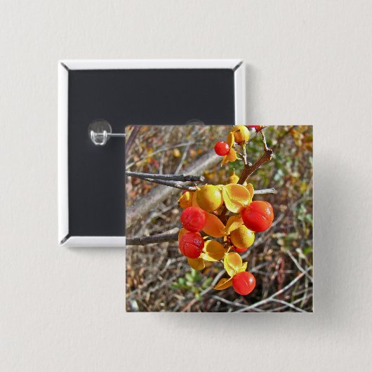 Bitterzoete wijnbessen vierkante button 5,1 cm (Voorkant /achterkant)