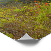 Bixby Bridge Poster (Hoek)