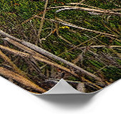 Bixby Creek Bridge 36 x 24 Poster (Hoek)