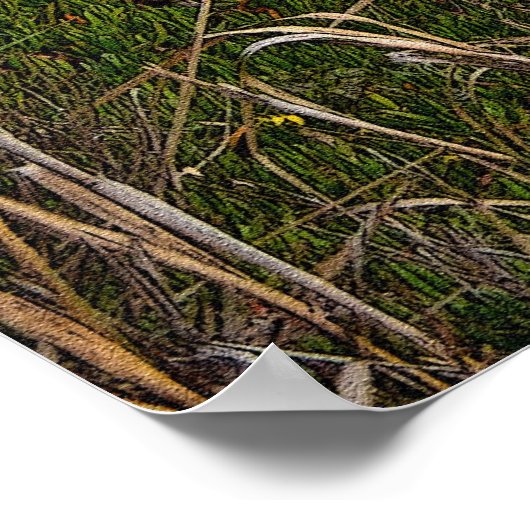 Bixby Creek Bridge 36 x 24 Poster (Hoek)