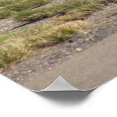 Biz Jet in Tocon Poster (Hoek)