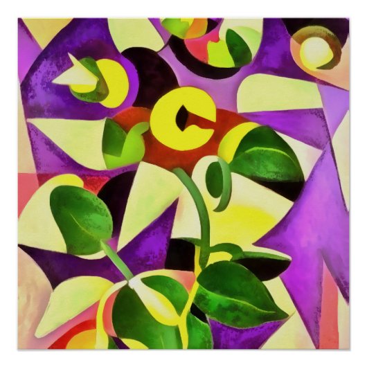 Bizarre Passiflora Flower Geometric Art Abstract Perfect Poster (Voorkant)