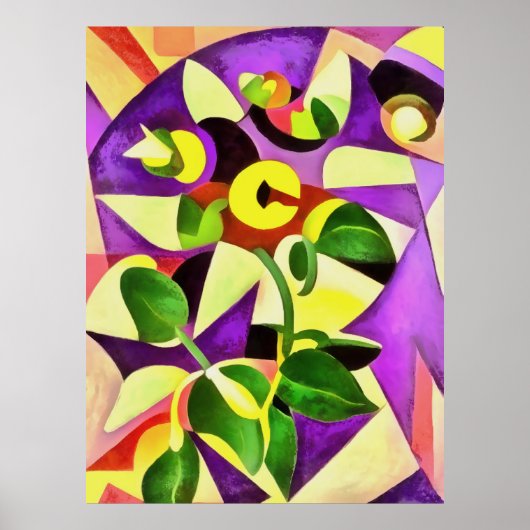 Bizarre Passiflora Flower Geometric Art Abstract Poster (Voorkant)