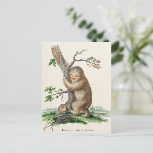 Bizarre Vintage Sloth Illustration Briefkaart (Staand voorkant)