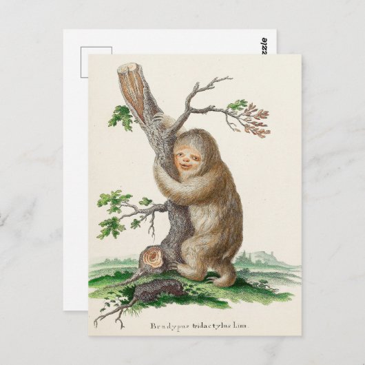 Bizarre Vintage Sloth Illustration Briefkaart (Voorkant / Achterkant)